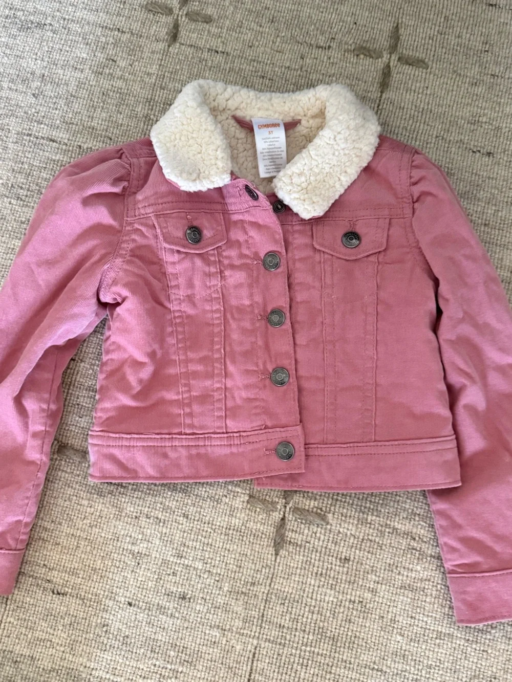Gymboree Toddler Girls’ Fall Clothing Bundle- Size 3T